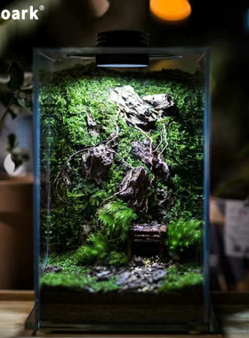 Bioloark生物方舟生态瓶超白缸玻璃瓶苔藓微景观带灯家居露集杯