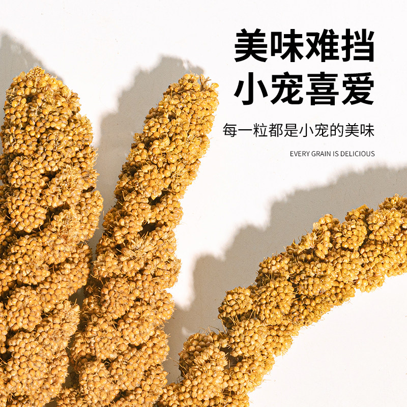 鹦鹉天然谷穗带壳黄谷子小米玄凤虎皮饲料鸟粮鸟食文鸟珍珠鸟零食,淘宝优惠券,粉丝福利购,淘宝优惠卷