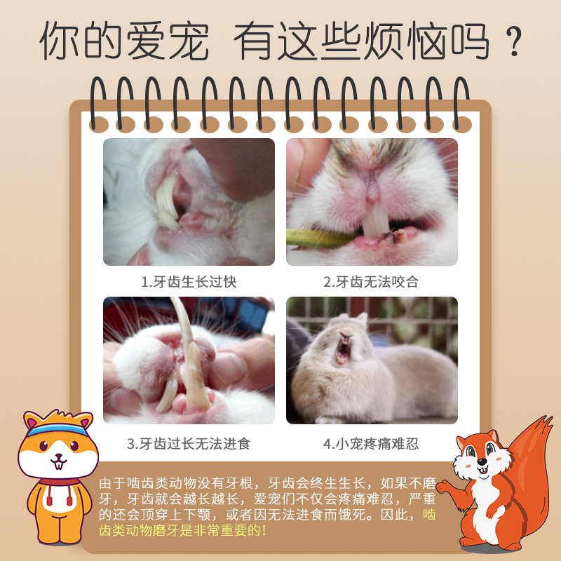 苜蓿草棒棍兔子吃的小零食营养兔兔龙猫豚鼠荷兰猪磨牙棒瓶装