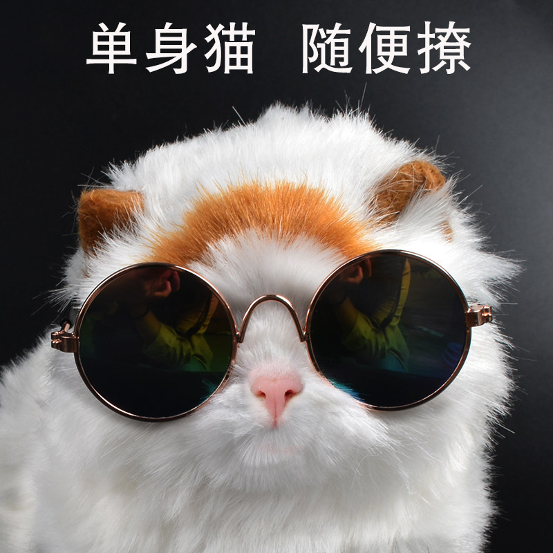 猫咪墨镜推荐品牌 新人首单立减十元 21年6月 淘宝海外