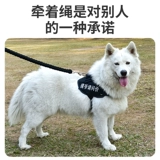 Веревочный жилет для собак, грудь обратно с маленькой средней большой собакой -собакой веревка золотой волосы против разбита