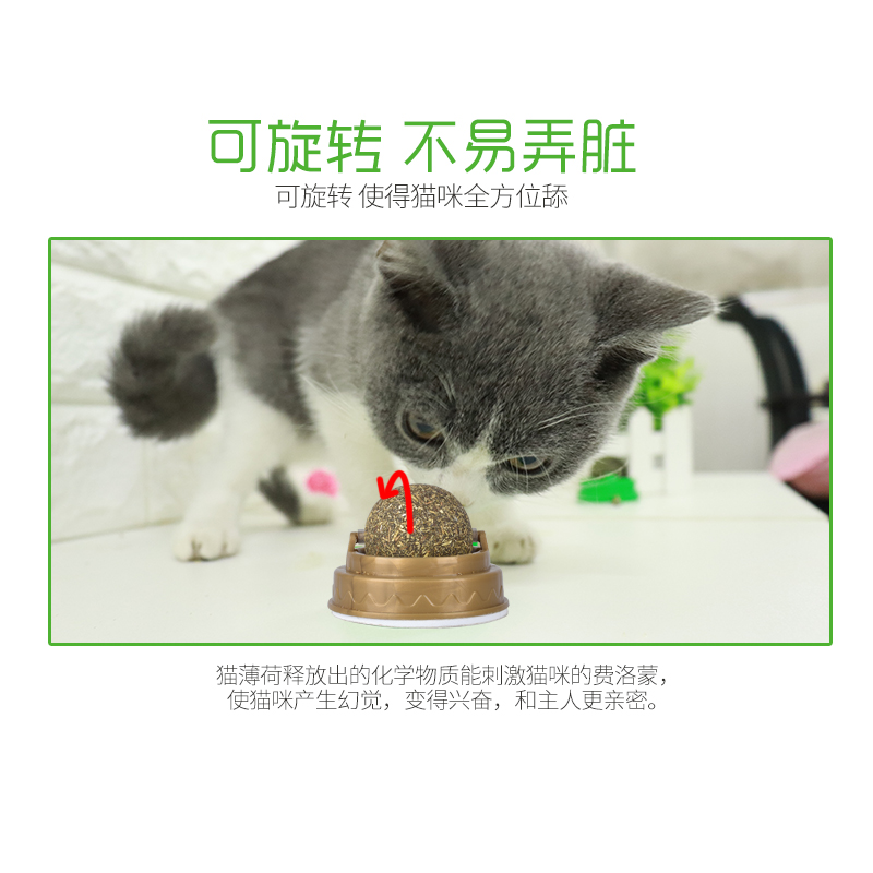 猫薄荷球猫玩具自嗨磨牙逗猫神器棒棒糖舔乐逗猫棒耐咬猫咪玩具 - 图2