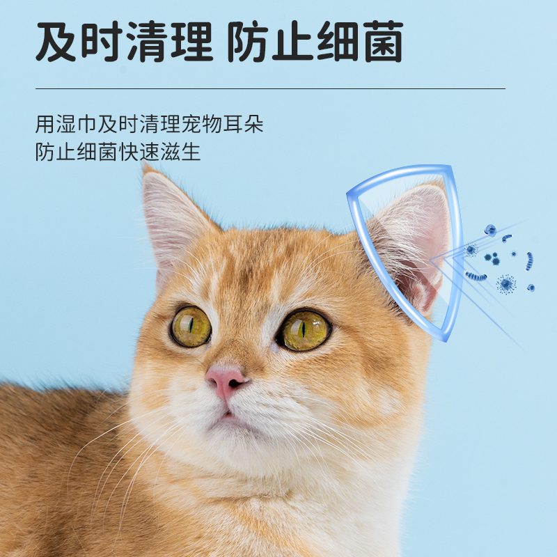 宠物耳朵指套狗狗猫咪除清洁去湿巾擦清理猫用清洗耳道耳螨洗耳液 - 图0