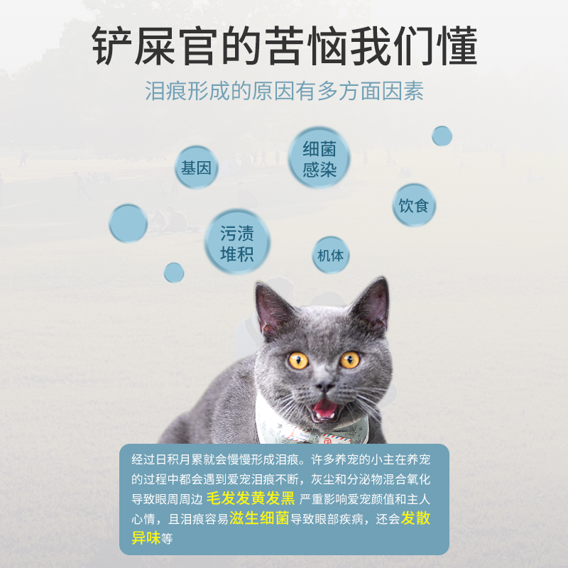 猫狗洗眼液宠物去泪痕清洁洗眼睛加菲眼屎狗狗猫咪用洗眼液猫眼用 - 图0