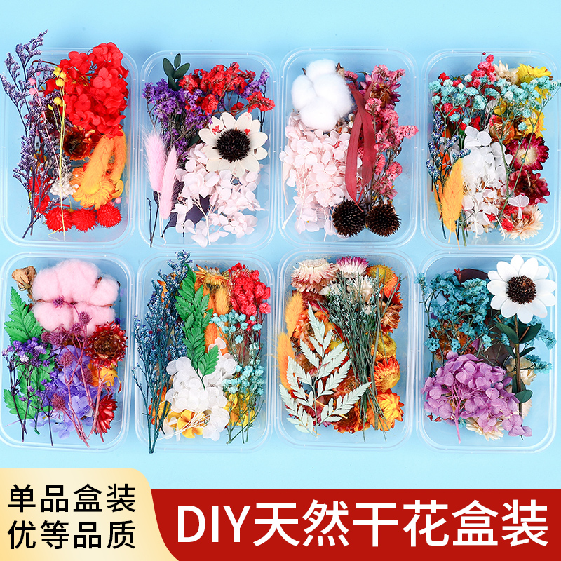 天然干花永生花假花仿真花儿童手工diy自制团扇贴画材料包幼儿园 - 图1