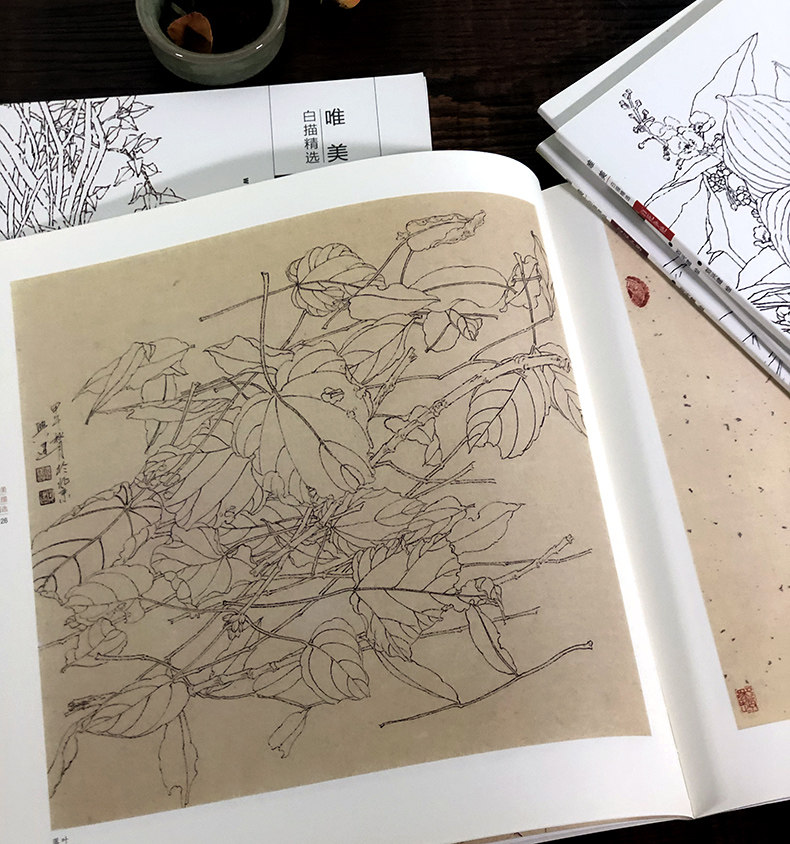 唯美白描精选全套7册 工笔画花卉技法白描底稿勾线稿毛笔画谱国画初学者临摹范本画册 刘兴建未君绘画教程图书籍现代花卉画作品集