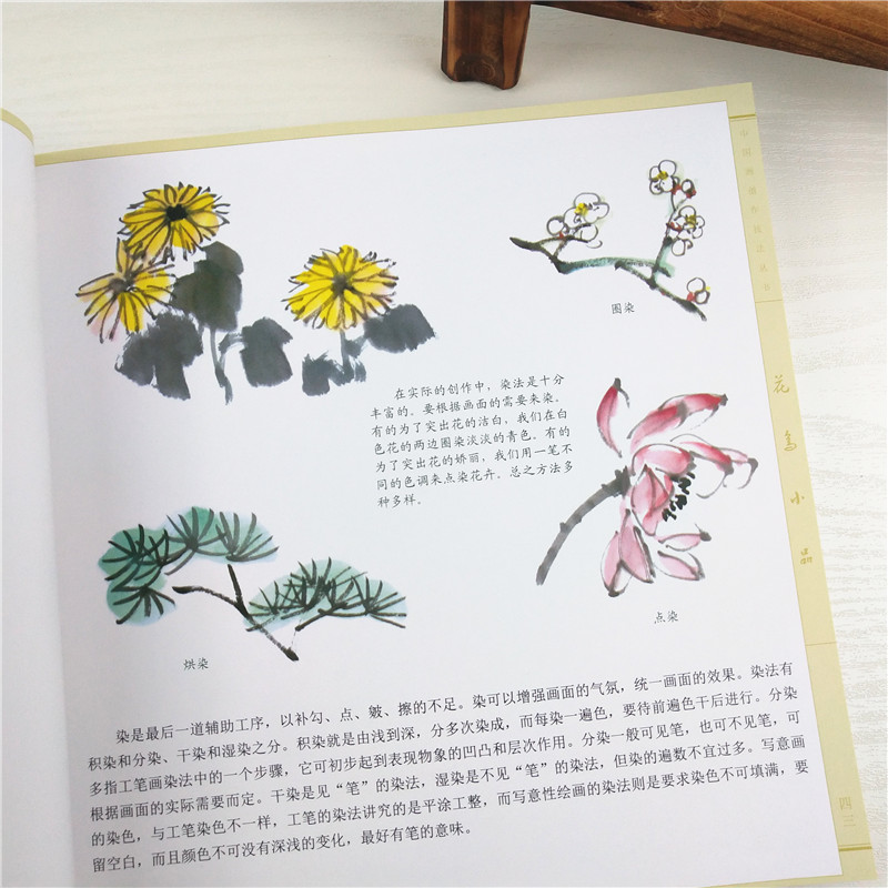 花鸟小品 中国画创作技法丛书 中国山水人物花鸟画技法教程图文并茂讲解水墨花鸟画构图创作技巧初学者绘画书福建美术出版社 - 图2