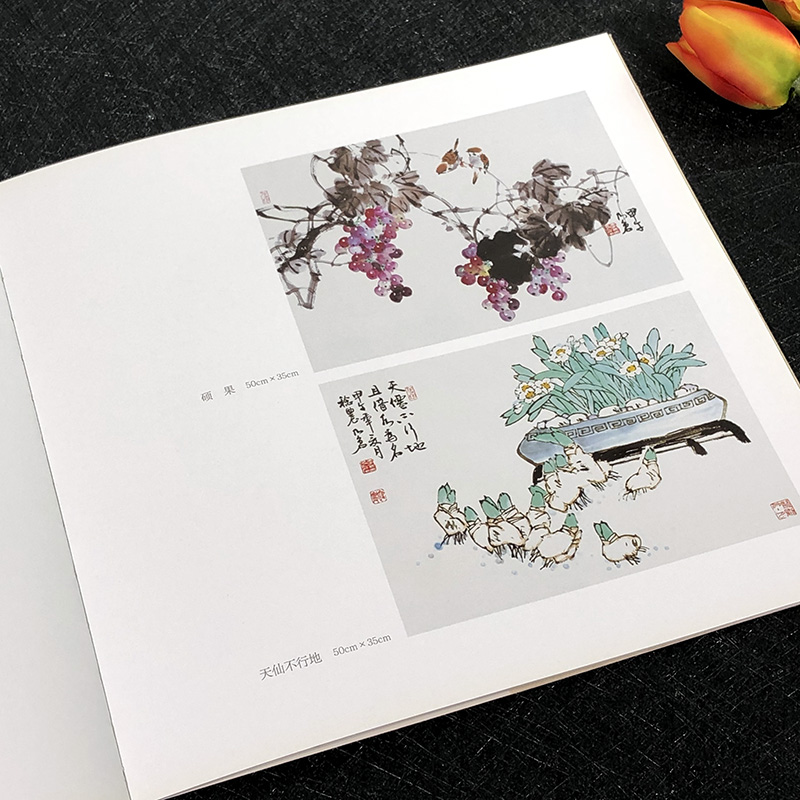 老仓写意花鸟小品集精选50余幅 花鸟虫鱼一应俱全雅俗共赏形式多样 传统经典水墨画中国画绘画美术作品鉴赏临摹 艺术图书书籍正版 - 图3