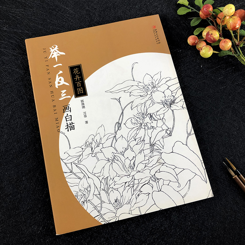 举一反三画白描 花卉百图 白描花鸟画国画技法讲解 传统工笔画稿底稿线描绘图谱临摹画谱 初学者绘画基础入门到精通教程书籍 - 图0