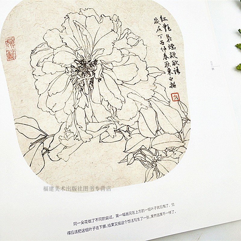 白描技法精解全套8册 荷花禽鸟竹子牡丹草虫梅花菊花 工笔画白描技法动物花鸟白描底稿勾线画谱美术绘画初学者入门基础教程图书籍