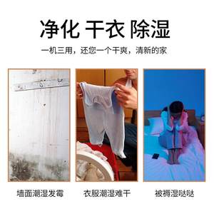 TCL除湿机家用抽湿器智能抽湿机别墅地下室工业大功率除湿器DET25