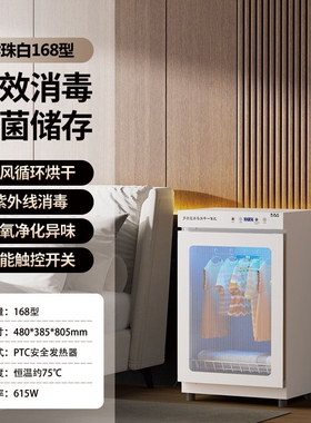 衣服消毒柜小型贴身衣物消毒器内