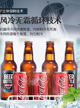 志高展示柜商用超市双开