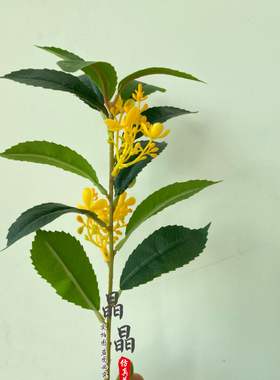 仿真花桂花叶桂花枝摄影道具仿真植物假花黄金桂家居装饰软装插花