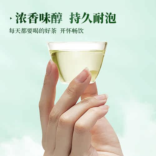 2026武当道茶高山云雾绿茶湖北武当山浓香茶叶自饮400g礼盒装 - 图0