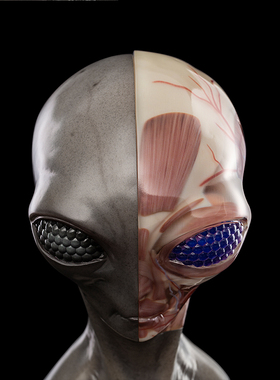 upoint联名vm非常博物馆格雷雕塑