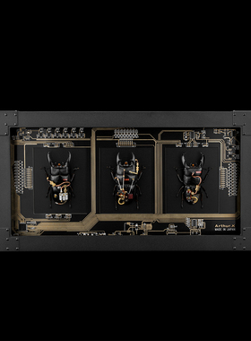 纯手工艺术品金属昆虫标本