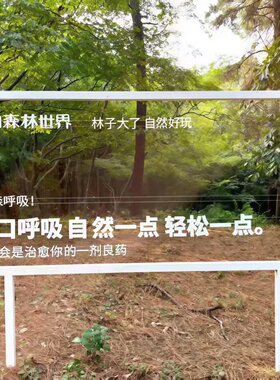 户外公园创意树牌不锈钢插地牌子