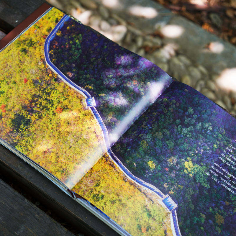 官网正版 了不起的中国古建筑 王国彬 古建筑 建筑艺术 文化遗产 古建资源 形制样式 建筑功能 材料工艺 装饰艺术 机械工业出版社,淘宝优惠券,粉丝福利购,淘宝优惠卷