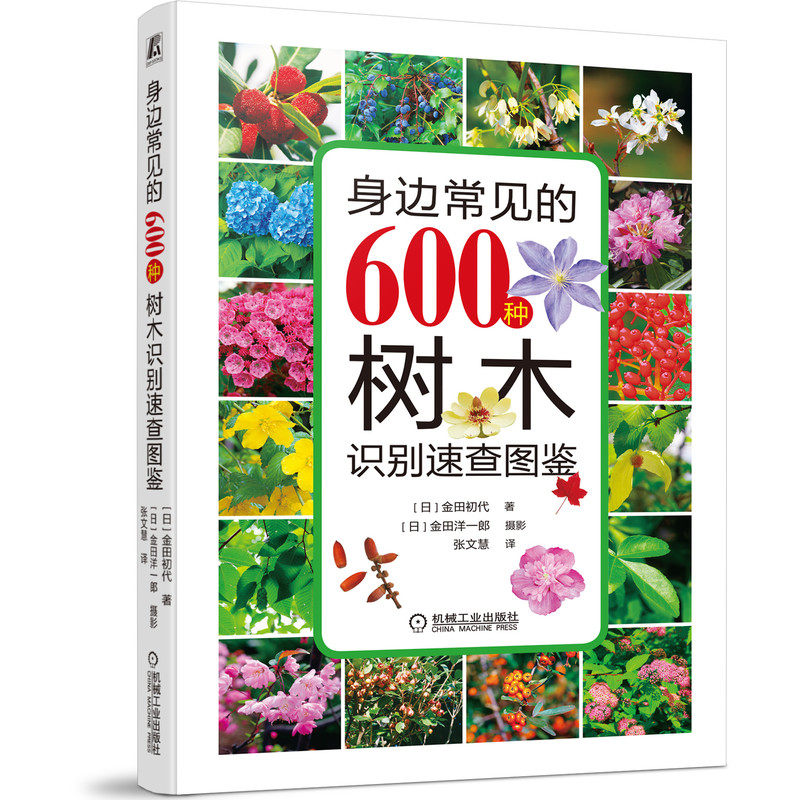 官网正版 身边常见的600种树木识别速查图鉴 金田初代 叶片 花 果实 树皮特征 解析 庭院树 行道树 公园树