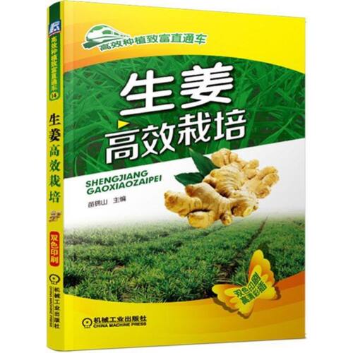 官网正版 生姜 高效栽培 苗锦山 种植致富直通车 农业经典实用技术图书 技能培训教材 机械工业出版社旗舰店 - 图0