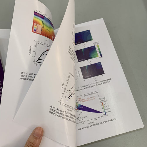 官网正版 氮化镓功率器件 材料 应用及可靠性 马特奥 梅内吉尼 半导体GaN 工艺器件设计 芯片 微电子CMOS集成电路建模 - 图1