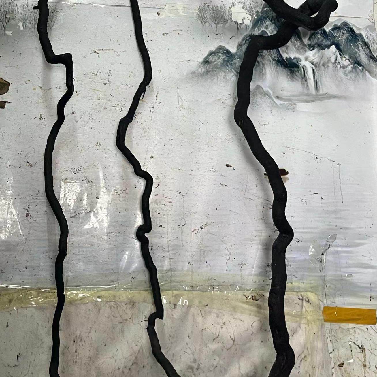 老鸦柿直播盆景野柿子绿植,淘宝优惠券,粉丝福利购,淘宝优惠卷