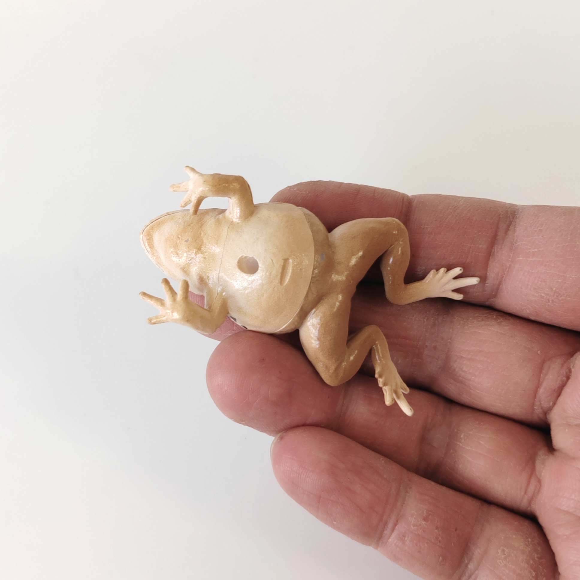 正版散货 日本扭蛋 Qualia黑斑侧褶蛙青蛙模型摆件手办,淘宝优惠券,粉丝福利购,淘宝优惠卷