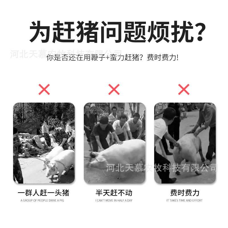 养殖挡猪板猪用加厚大号拦猪板赶猪器拍隔猪板塑料赶猪挡板畜牧