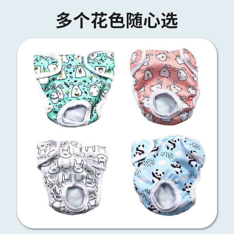 亚马逊宠物狗生理裤狗狗尿垫宠物吸水垫狗尿布公狗生理裤,淘宝优惠券,粉丝福利购,淘宝优惠卷