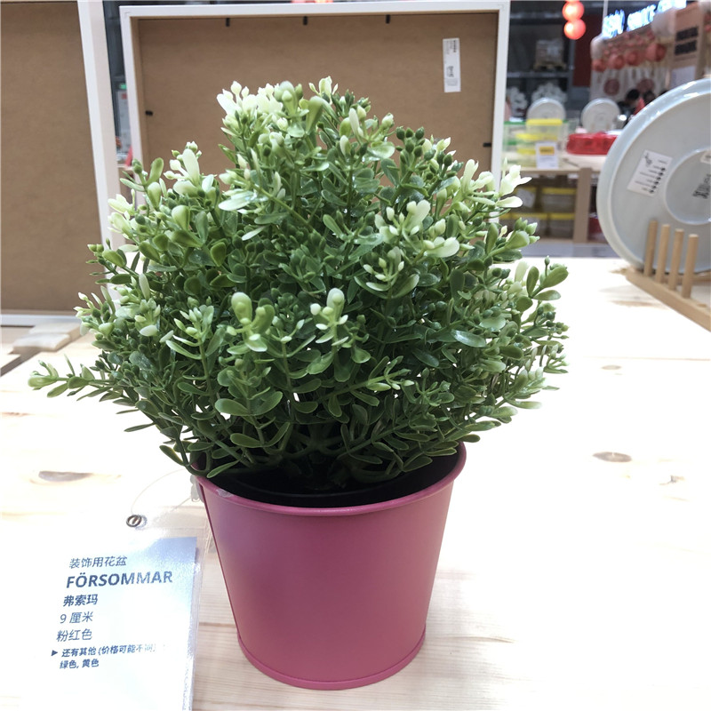 IKEA宜家 菲卡 人造盆栽植物, 百里香公司装饰绿植 - 图2