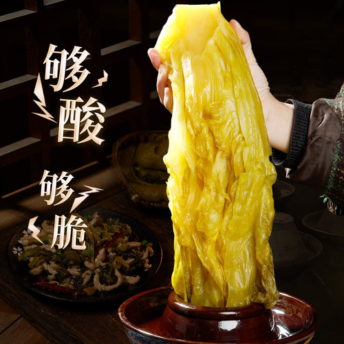 古蜀味道四川特产新繁老坛酸菜鱼专用酸菜火锅泡青菜泡菜鱼酸菜 - 图3