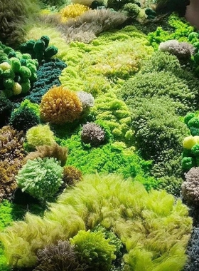 苔藓地毯成品万物diy材料自制钩针手工发货编织毯子天内