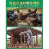 New pedal chicken trough feed trough new supplies feed trough feeding trough hen foot-operated pedal special trough
