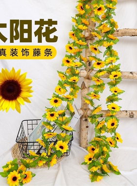 仿真太阳花藤条向日葵假花藤条藤蔓室内空调水管道遮挡装饰花缠绕