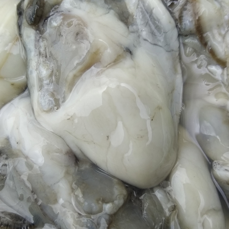 Dalian seafood freshly deducted oyster meat SF time limit