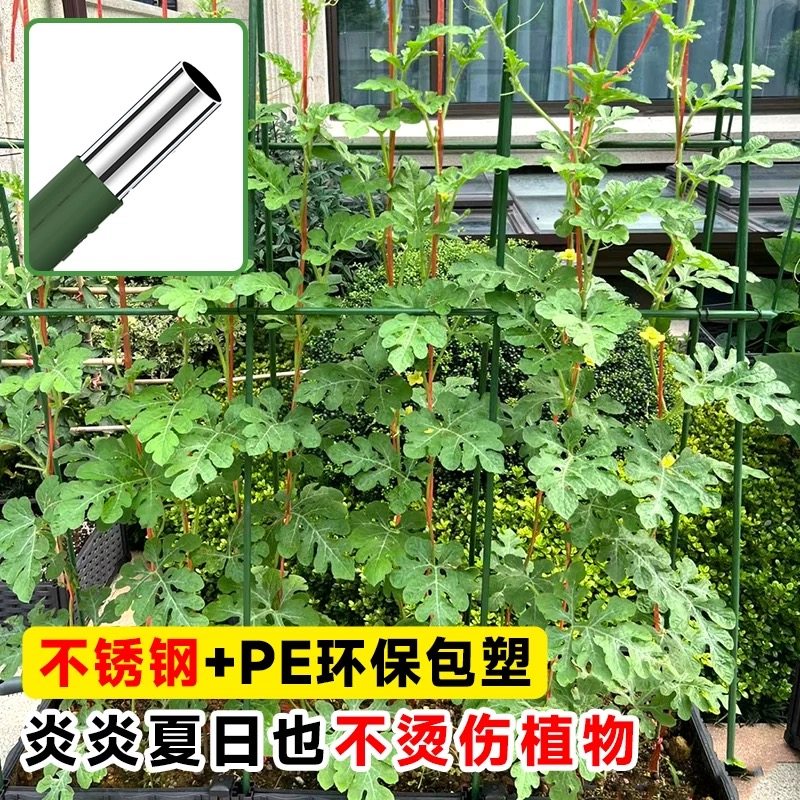 爬藤架花架包塑钢管月季豆角西红柿黄瓜园艺固定杆葡萄植物支撑架,淘宝优惠券,粉丝福利购,淘宝优惠卷