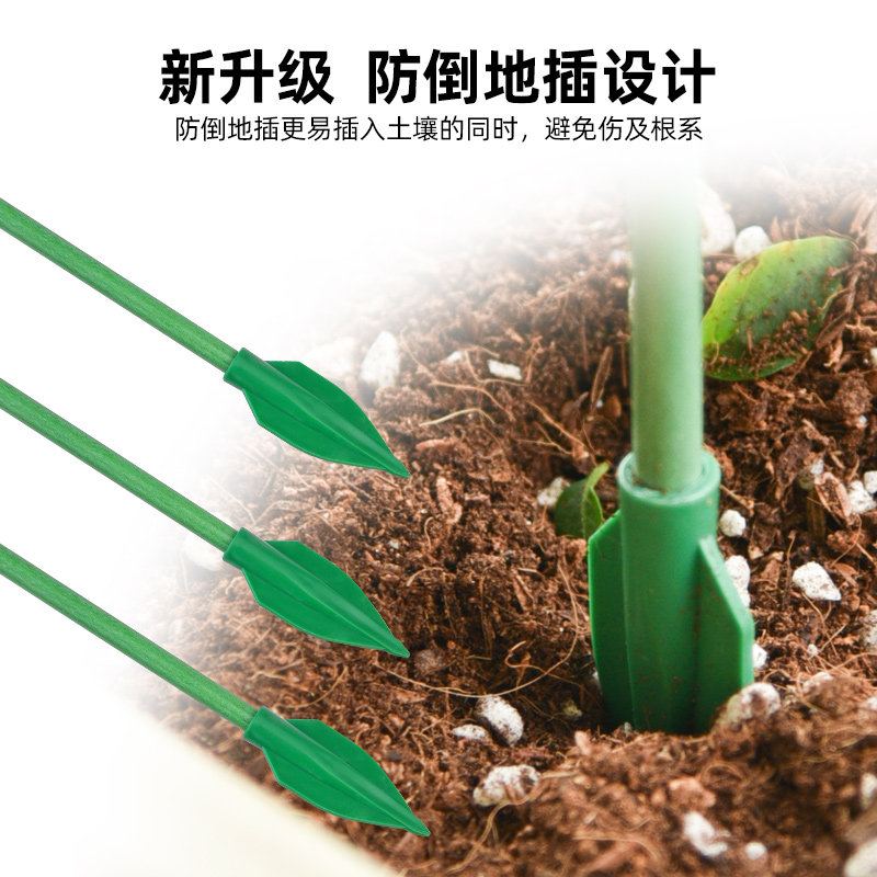 天堂鸟支撑杆专用防倒伏爬藤架植物龟背竹园艺三角梅支架固定神器,淘宝优惠券,粉丝福利购,淘宝优惠卷