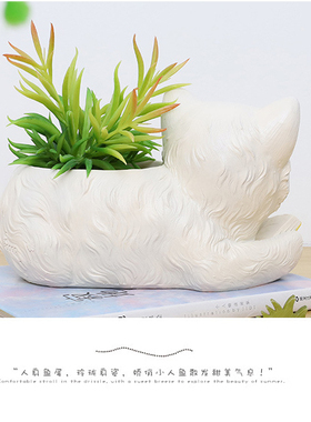 田园可爱猫咪多肉花盆创意个性