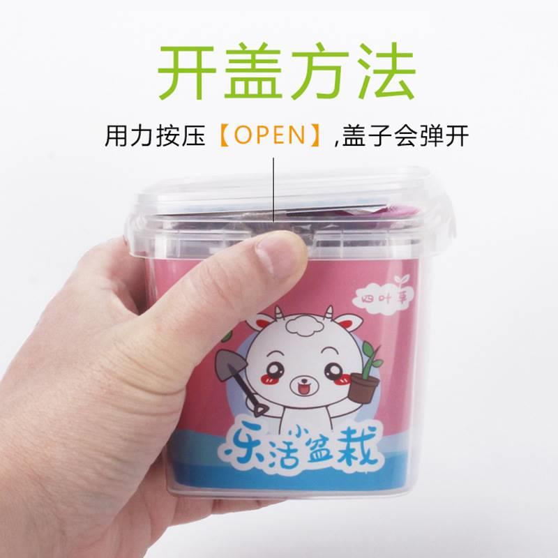 创意迷你小盆栽儿童种植植物幼儿园学生观察趣味易养活diy小绿植 - 图0