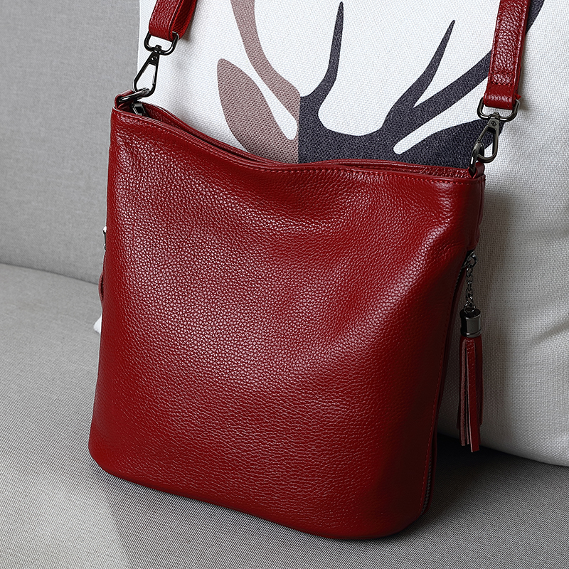 真皮水桶包小包包女包2025新款时尚百搭流苏单肩包头层牛皮斜挎包 - 图1