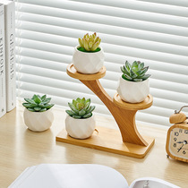 Mini Fake Green Plant plant Flowers And Flowers Ceramic Potted Real Multimeat Combined Home Living Room Office Decoration Pendulum