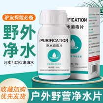 Water Purification Tablets Drinking Water Outdoor Purified Water Germicidal Sanitizing Filter Effervescent Tablets Wild Survival Reserve Supplies
