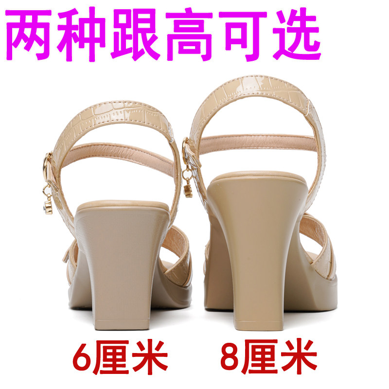 图 3
