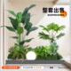 Fake green plant landscaping combination, high-end light luxury ornaments, high-end bionic plants under the stairs, floor-standing potted trees