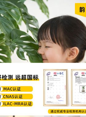 龟背竹仿真绿植高端轻奢客厅室内沙发边角仿生假花树大型落地盆栽
