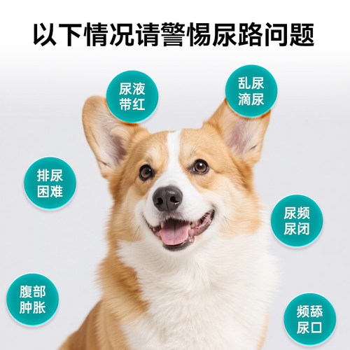 汉维宠仕优泌可犬猫宠物猫咪泌尿系统膀胱养护保健泌尿宠物营养片 - 图0