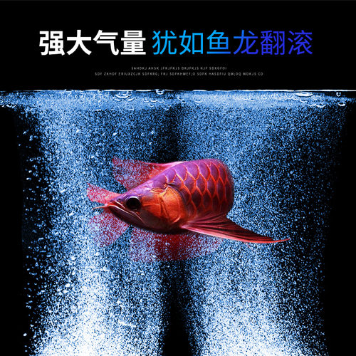 氧气泵静音增氧泵超鱼缸小型海鲜鱼池大功率增氧机养鱼打氧制氧机 - 图0