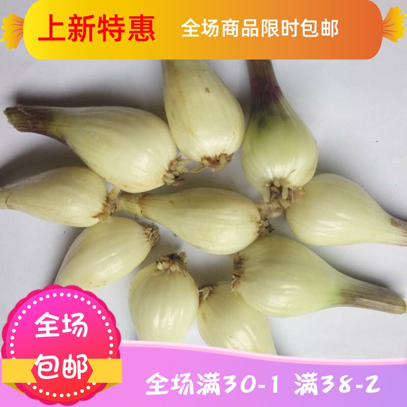  刘小歪食品其它