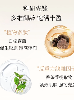 白松露香茶菜叶提取物多肽精华液